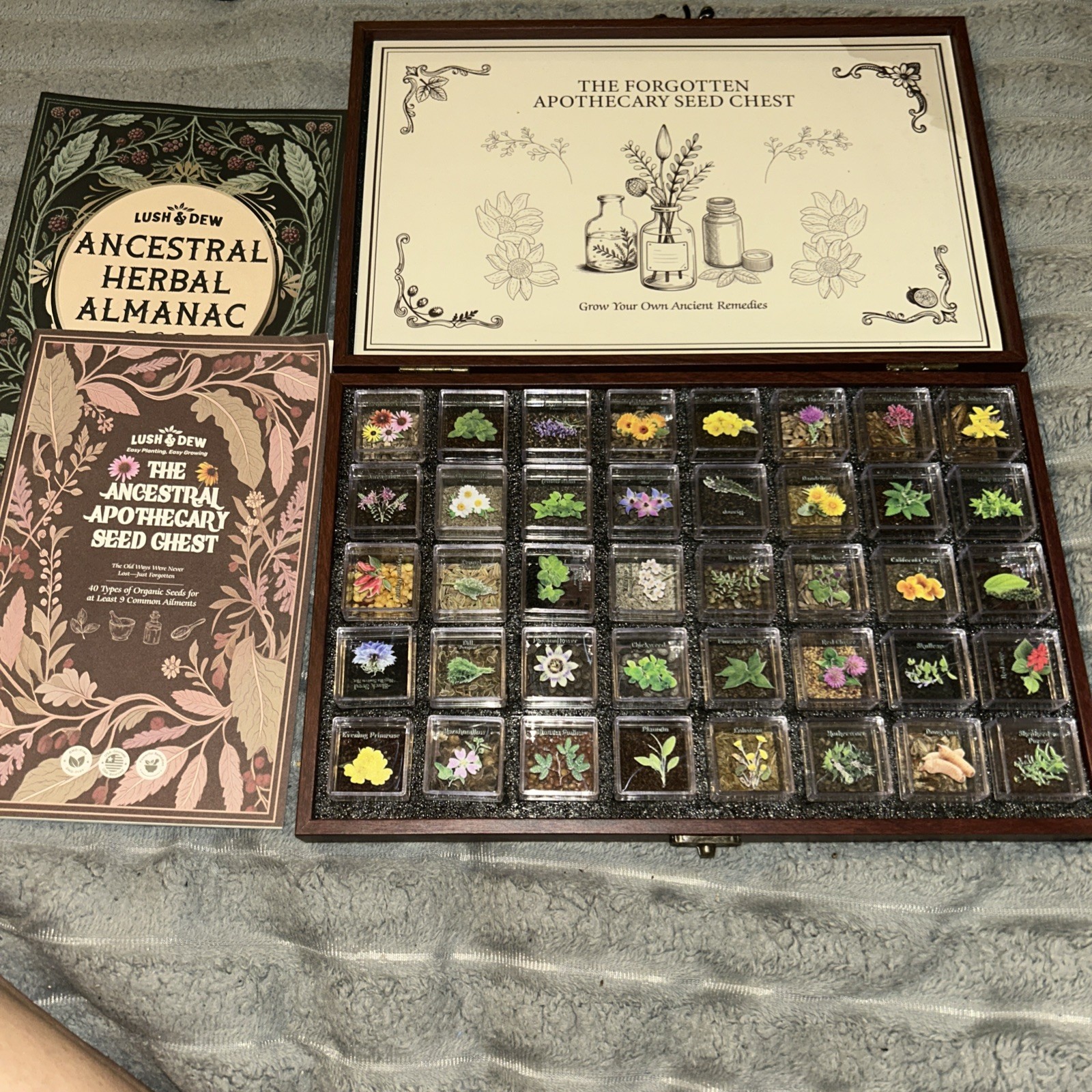 Medicinal Herb Seed Chest 36 000+ Non GMO Survival Kit Lush&Dew Ancestral Gifts