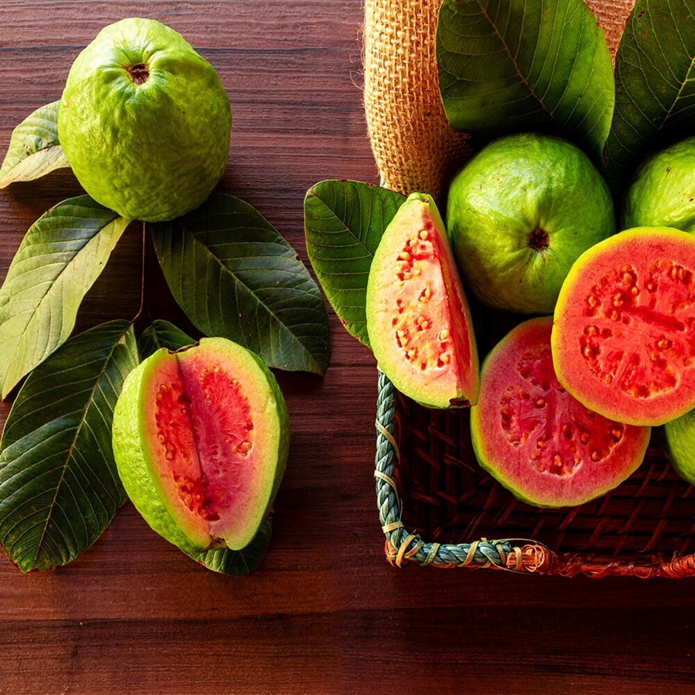 100 Lemon Apple Pink Guava Tree Fruit Seeds ‘Ruby Supreme’ Plant Psidium guajava
