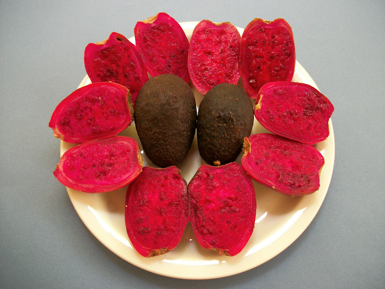 GIANT RED OPUNTIA PRICKLY PEAR NOPAL SPINELESS CACTUS- JUICY & SWEET 10 SEEDS