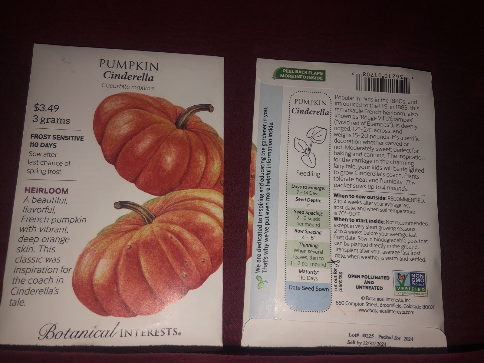 Pumpkin Cinderella Heirloom Seeds Botanical Interests Hybrid Exp. 12/2024