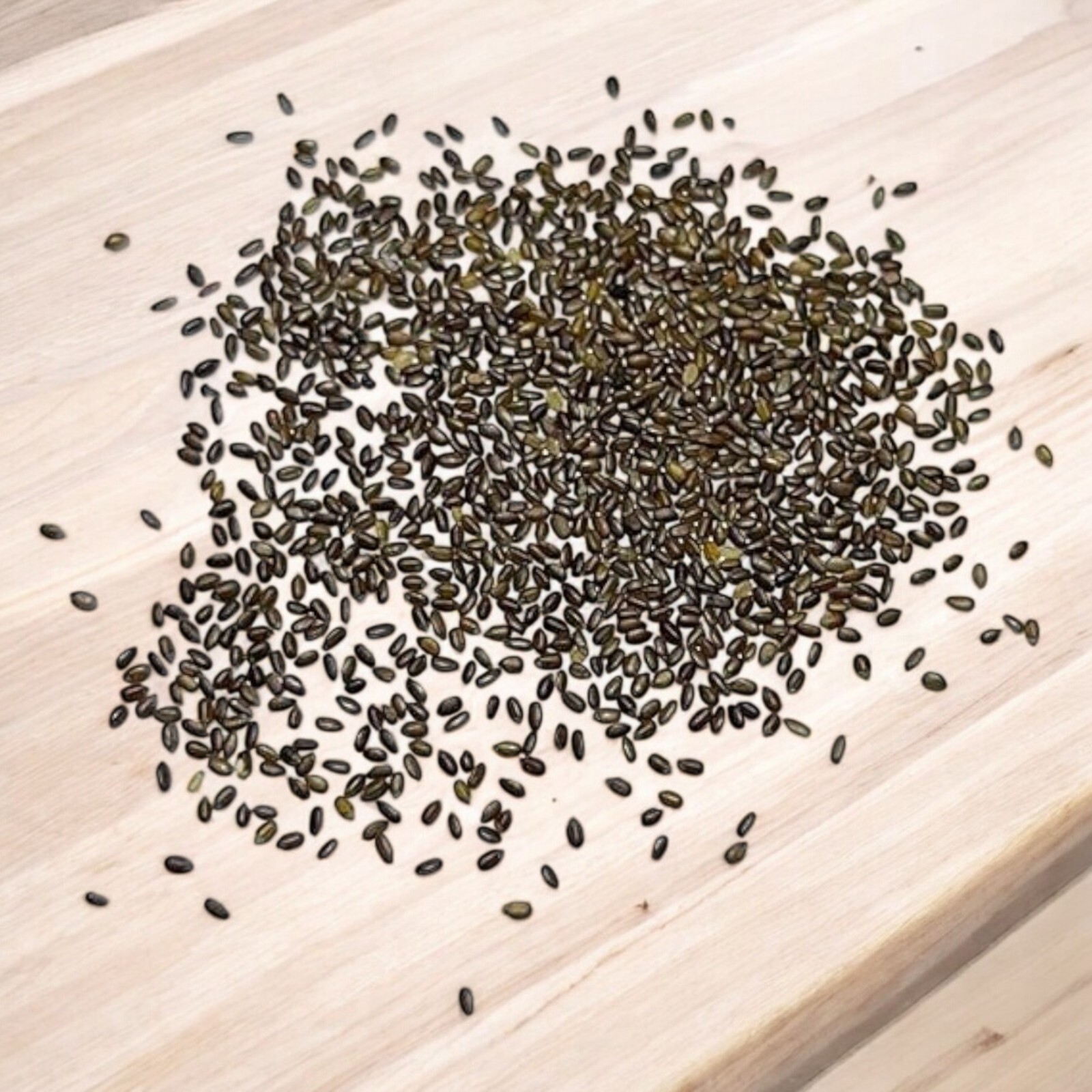 1000pcs Mint Seeds for Planting – Non-GMO Heirloom Herb Seeds Herbal Tea Garden