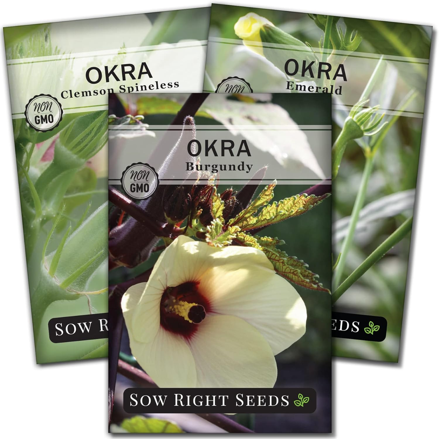 – Okra Seed Collection for Planting – Burgundy, Clemson Spineless, and Emerald V
