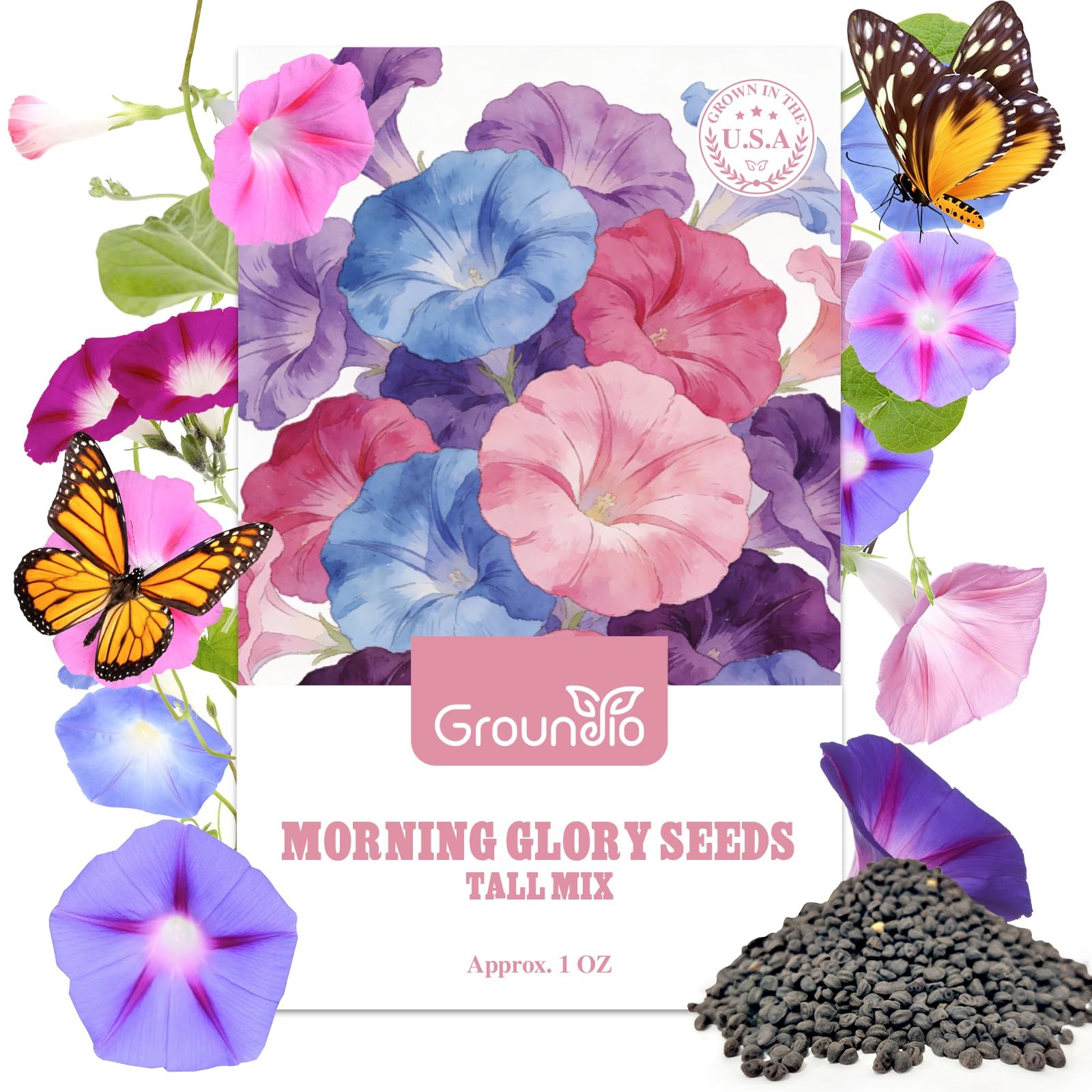 Morning Glory Seeds, Mix Color and Tall, Large Pack 1 Ounce Climbing Vine Flo…