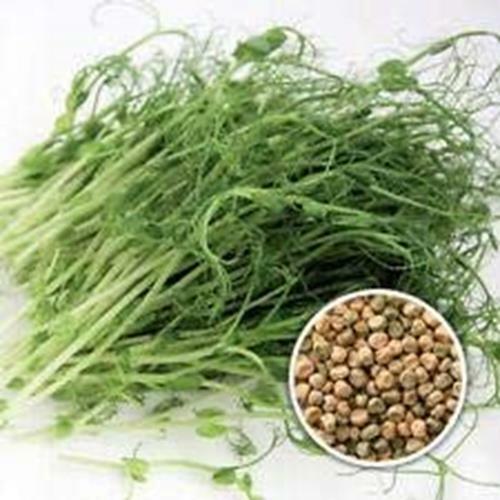 8 oz Brown Speckled Pea