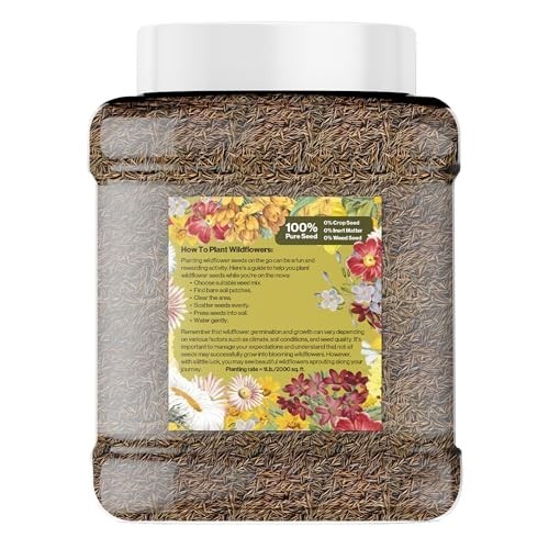Organic Non-GMO Wildflower Seeds Mix – 20 Varieties, 1 LB Tub for Gardening
