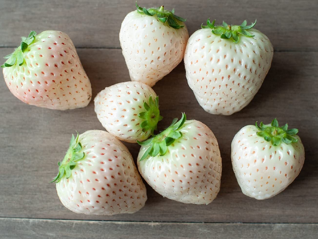 White Strawberry Seeds – 500+ Seeds – White Pineberry Seeds – Made in USA, Ships