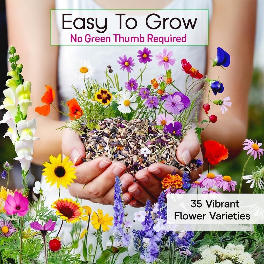 340,000 Non-GMO Wildflower Seeds – Diverse Annual & Perennial Mix for Gardens