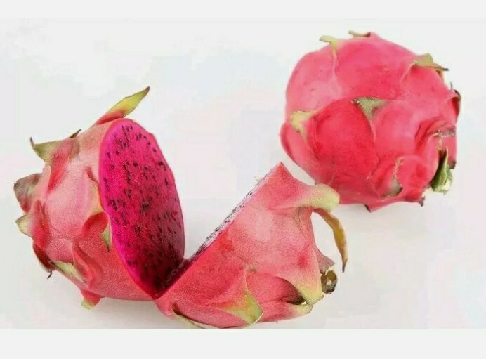 USA SELLER Red Dragon Fruit seeds (30 seeds) fresh this season’s harvest 2021