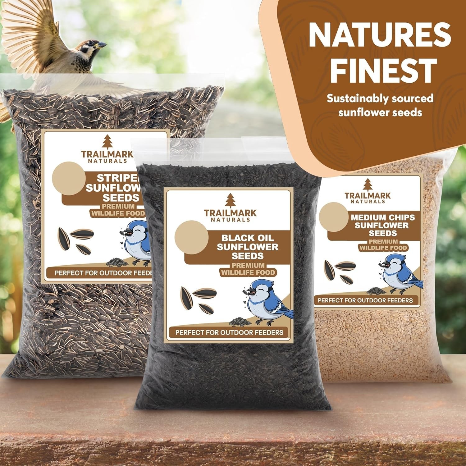 6 Pound Black Oil Sunflower Seeds for Birds – Wildlife Food – Non – GMO -Gro…