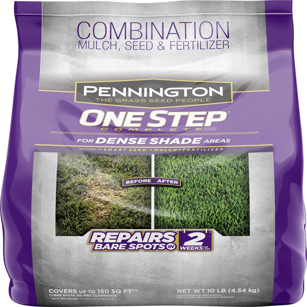PENNINGTON GRASS SEED Dense Shade Patch & Repair Mix, Partial to Full Shade