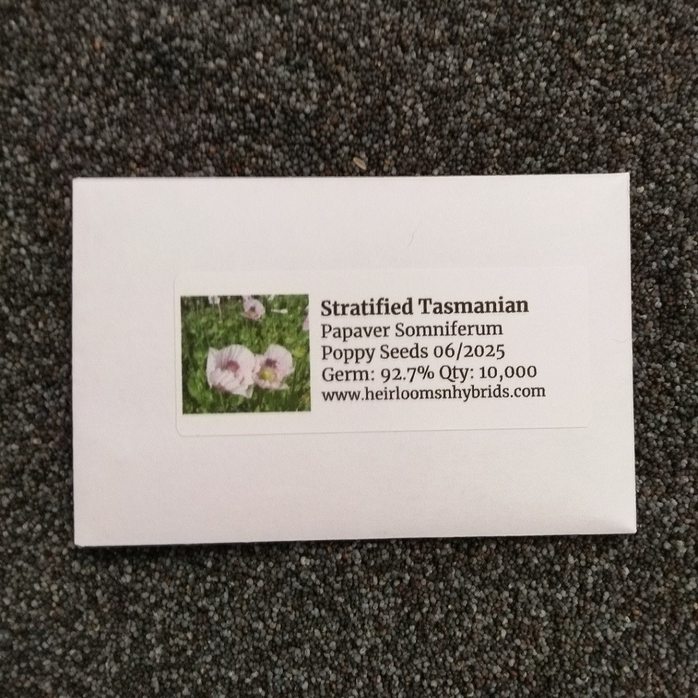 10,000 Untreated Tasmanian Poppy Seeds for Planting Authentic Papever Somniferum