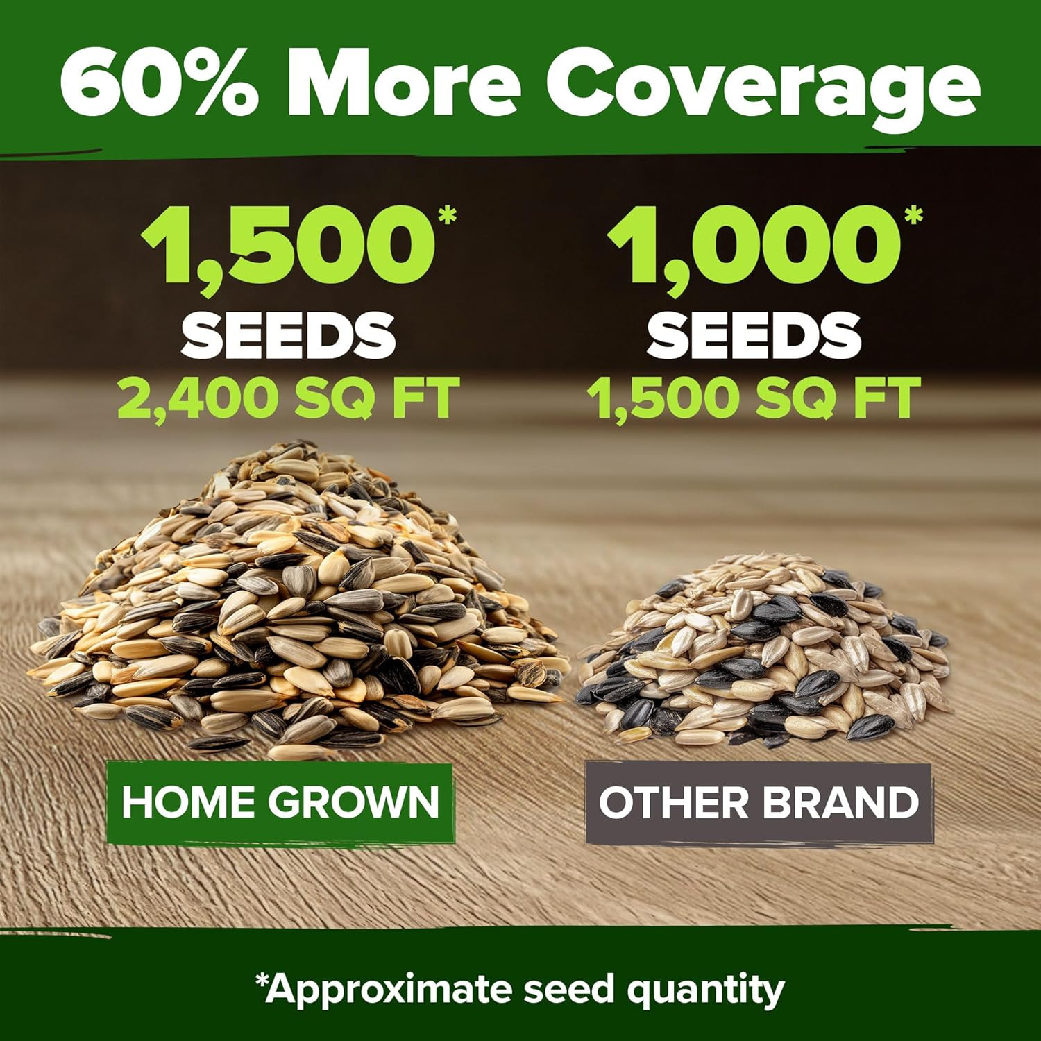 Sunflower Seeds Mix Pack 1,500+ 9 Colorful Varieties of Sun Flower