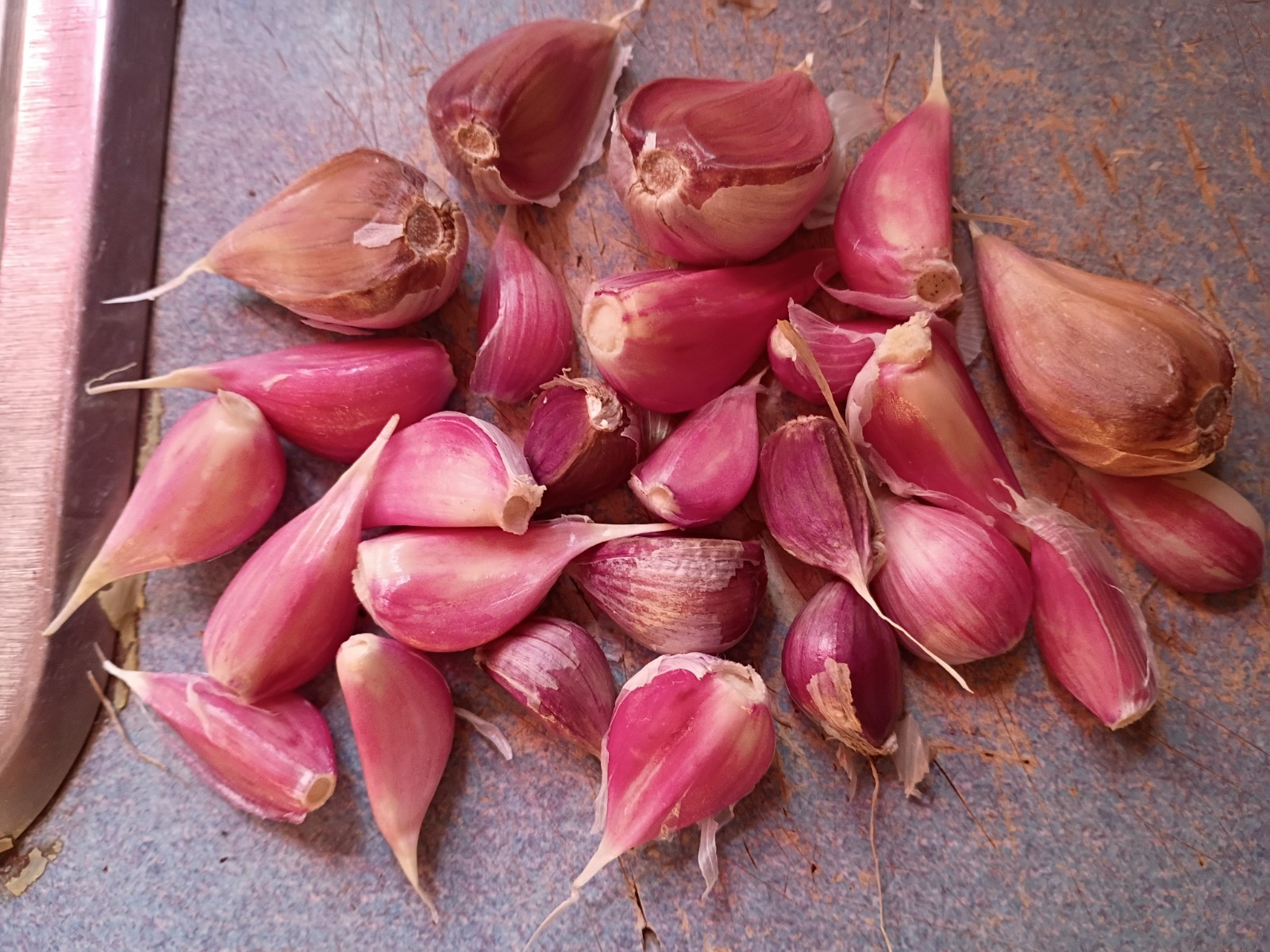25 Organic German Red Hard neck Garlic Cloves For Planting 2026 USA