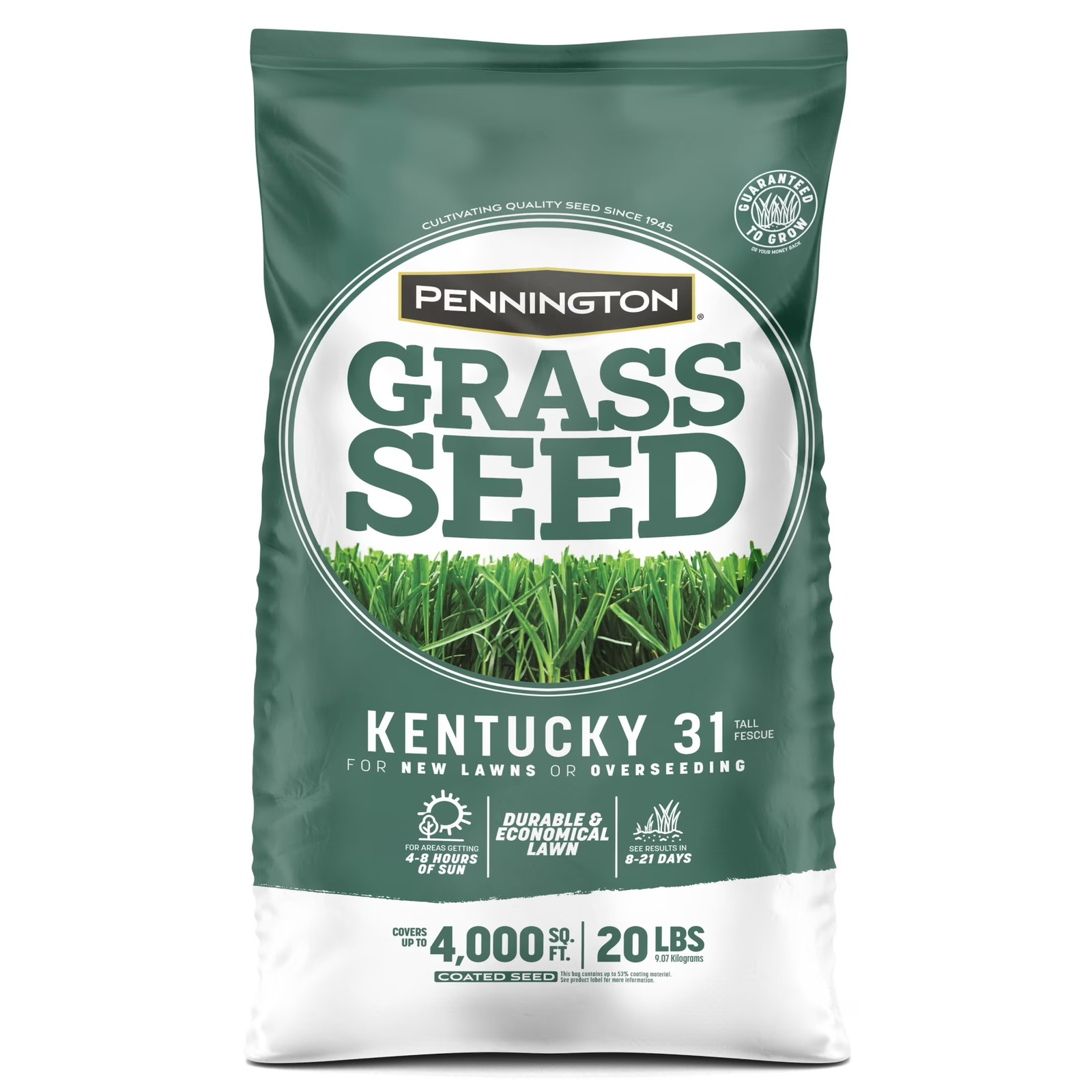 Kentucky 31 Tall Fescue Grass Seeds for Lawn, for Sun to Partial Shade, 20 Lb