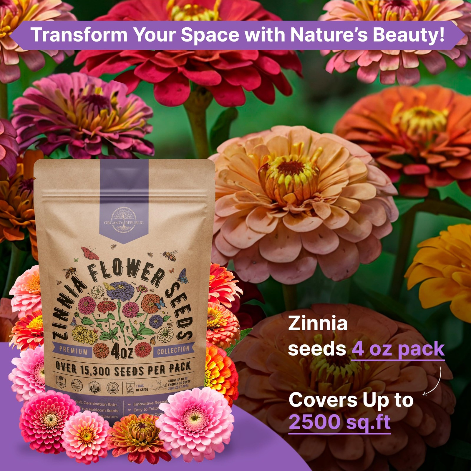 Zinnia Seeds Pack 4 oz – Over 15,300 Non-GMO 4oz, Purple, Pink, Green