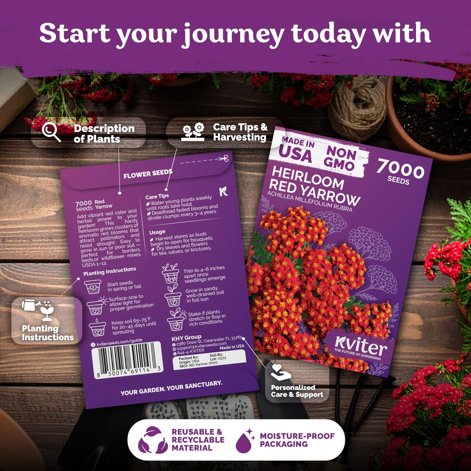 KVITER 7000 Red Yarrow Seeds (Achillea Millefolium Rubra)