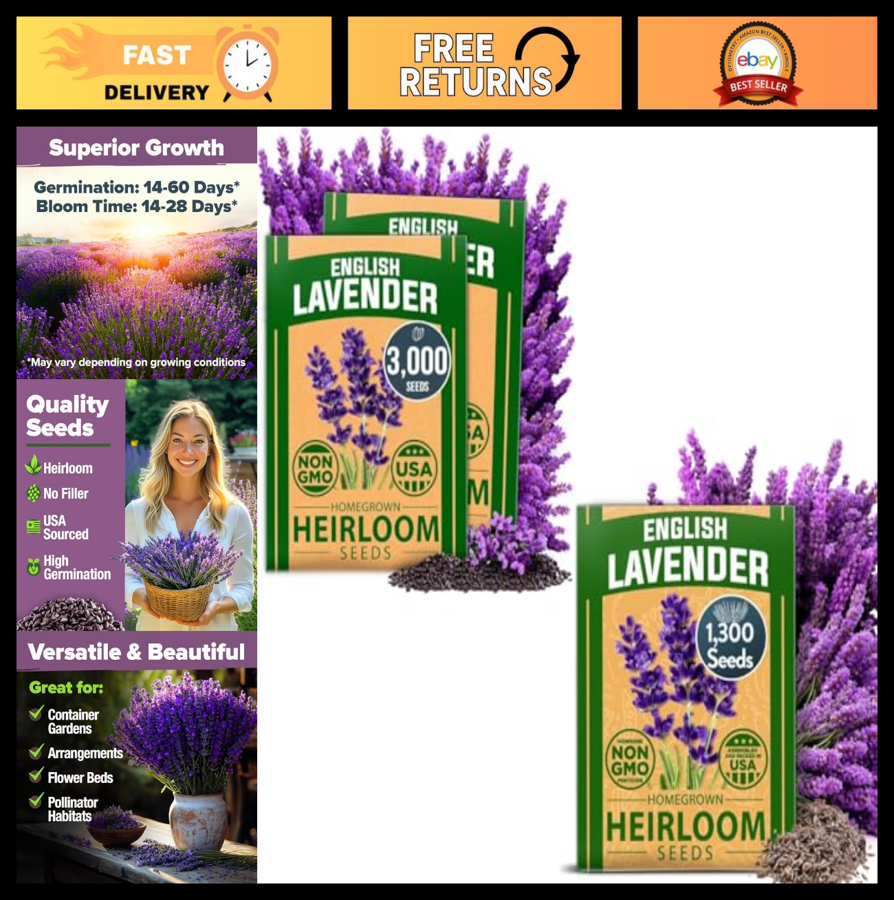 English Lavender Seeds – 3 Pack Non-GMO Herb Seeds | High Germination | Fragrant
