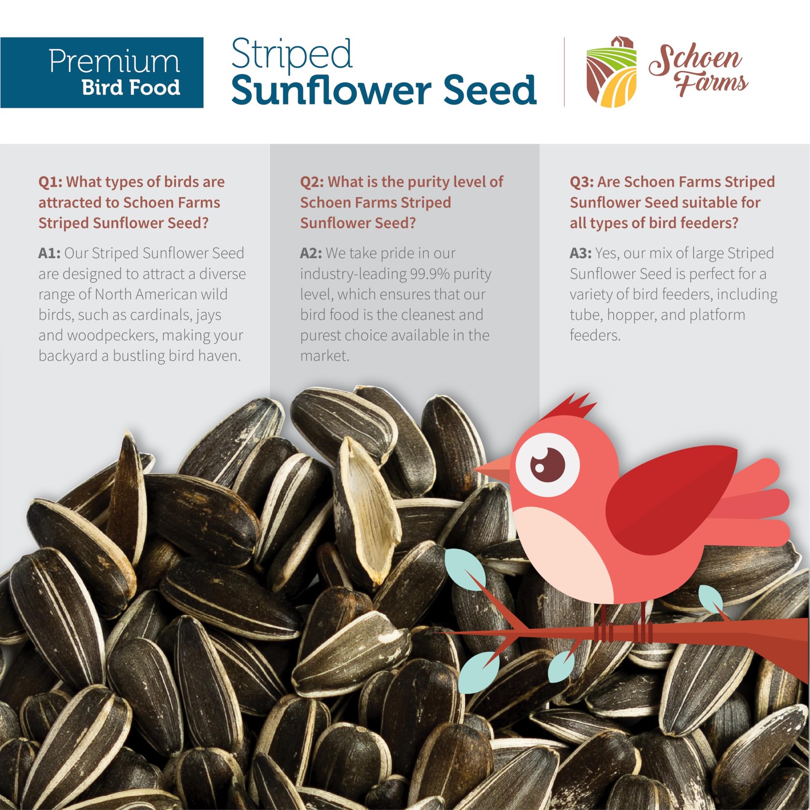 Striped Sunflower Seeds – Hulled Wild Bird Food – 6 lb Bag – Premium Bird for…
