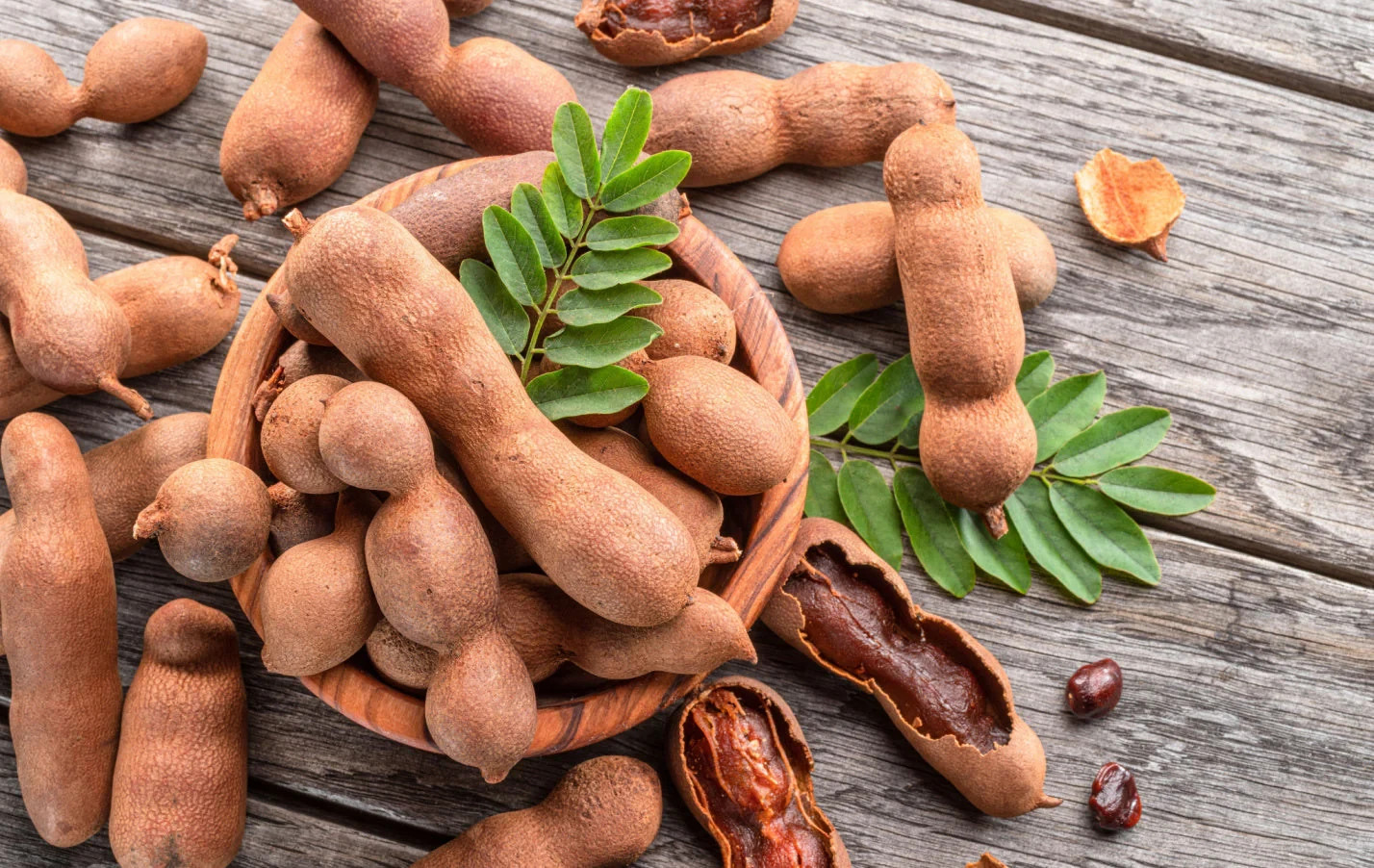 10 Tamarind Tree Seeds – Tropical Tamarindus indica Fruit & Bonsai Plant