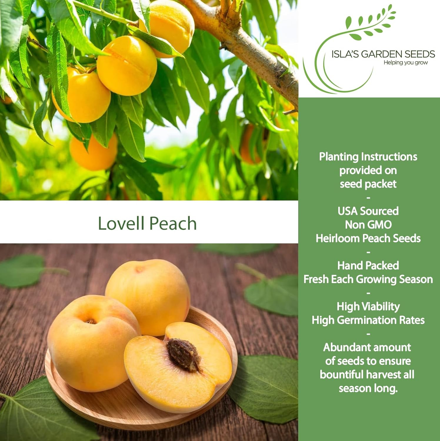 Lovell Peach Tree Seeds (Prunus Persica) – 2 Heirloom Non-Gmo Seeds by Isla’S Ga