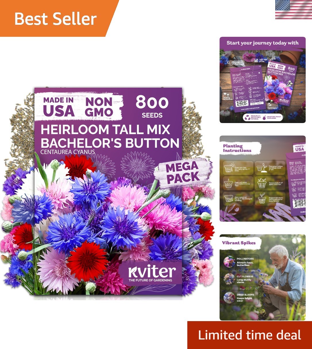 Cornflower Seed Mix – 800 GMO-Free Bachelor Button Seeds for Colorful Gardens