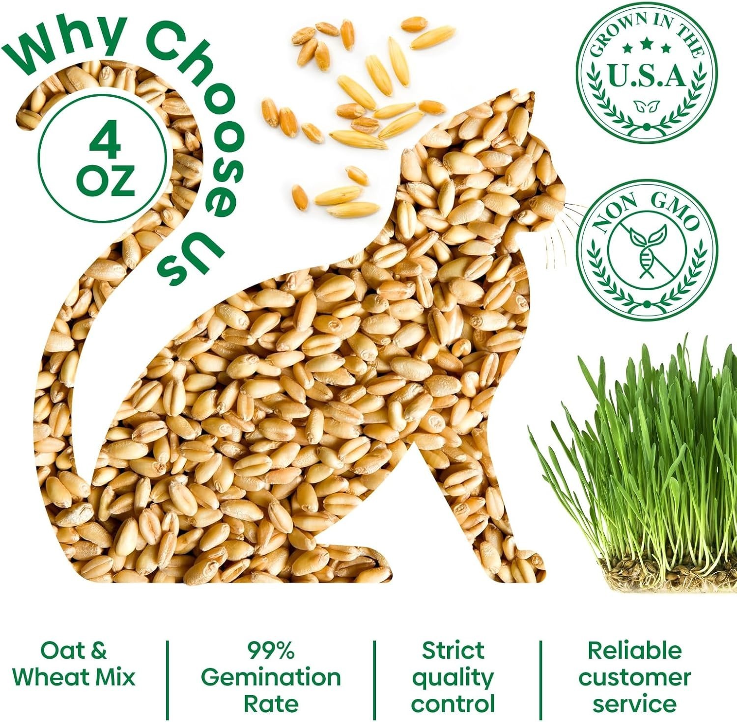 Non-GMO Cat Grass Seeds, 4 Oz Mix for Healthy Indoor & Outdoor Cats