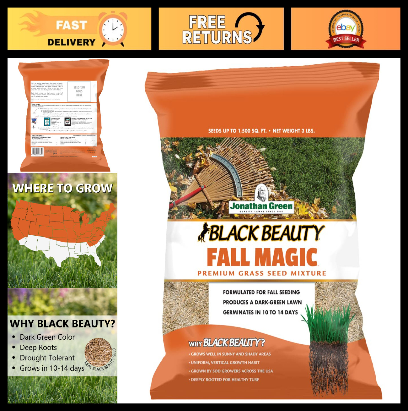 Premium Black Beauty Fall Magic Grass Seed – Cool Season Lawn Seed 3 lb Bag