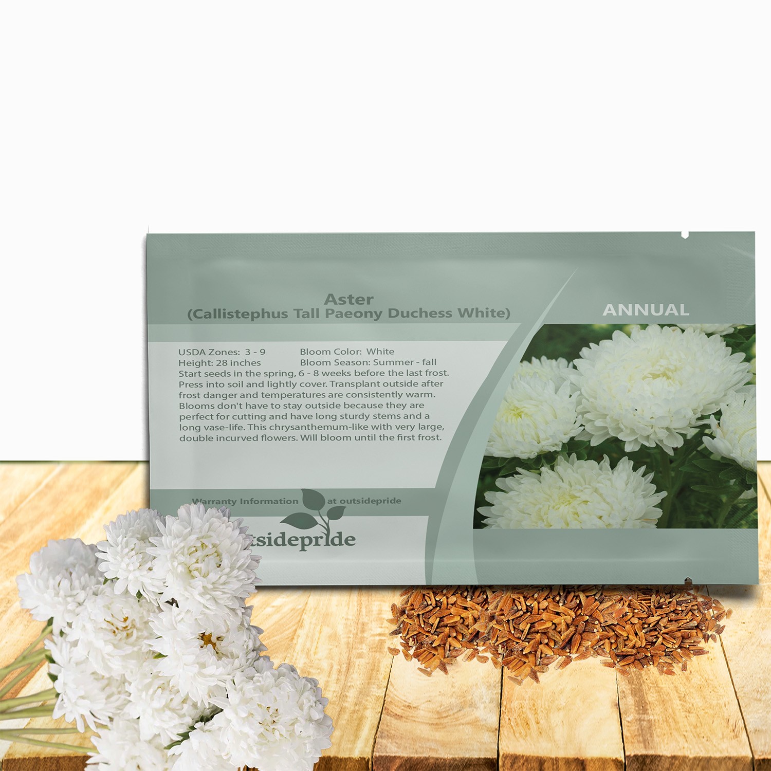 1000 Seeds Aster Seed – Aster Callistephus Paeony White Double Flower Seeds