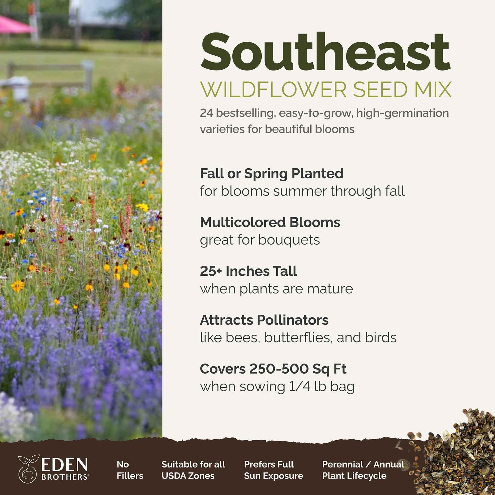 Southeast Wildflower Mixed Seeds 1/4 lb 120,000+ Cornflower Blanket Flower