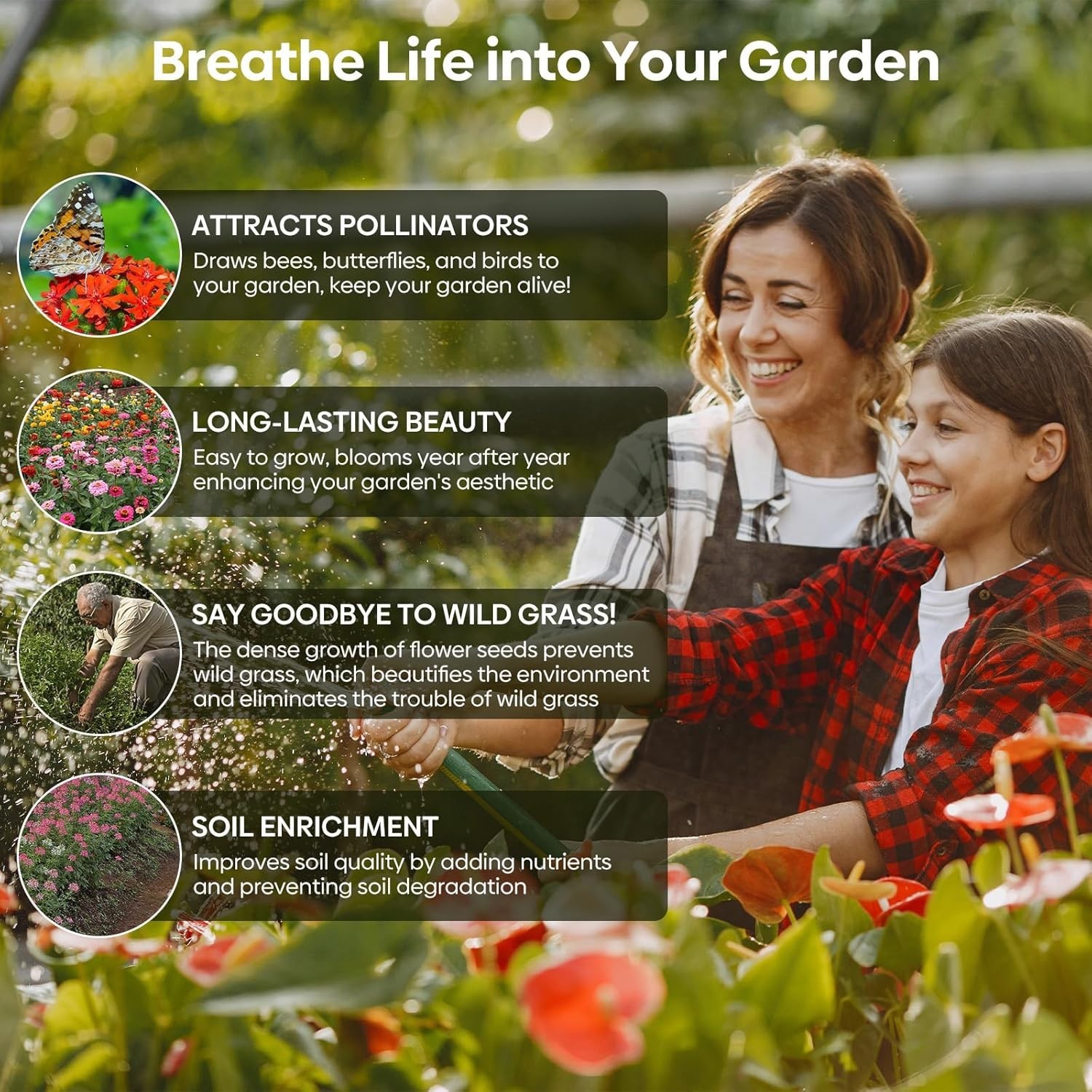 Wildflower Seeds Hummingbird and Butterfly Mix 1 Ounce, No Filler, 24 Varieties