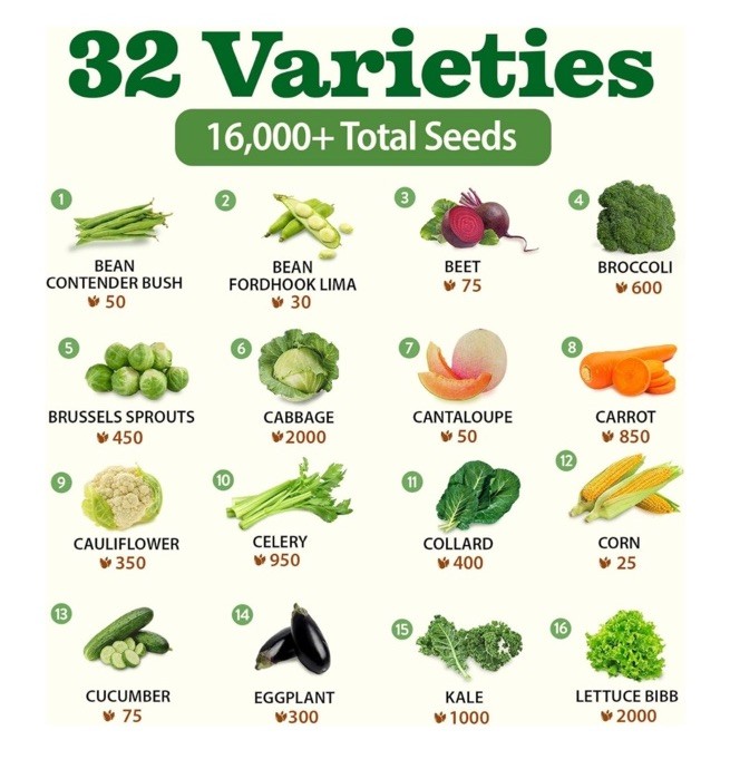 Heirloom Vegetable & Fruit 16,000+ Seeds for Planting – Non-GMO
