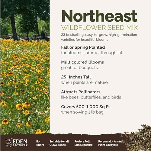 Northeast Wildflower Seed Mix – 1 lb, 480,000+ Seeds, Attracts Pollinators, Zone