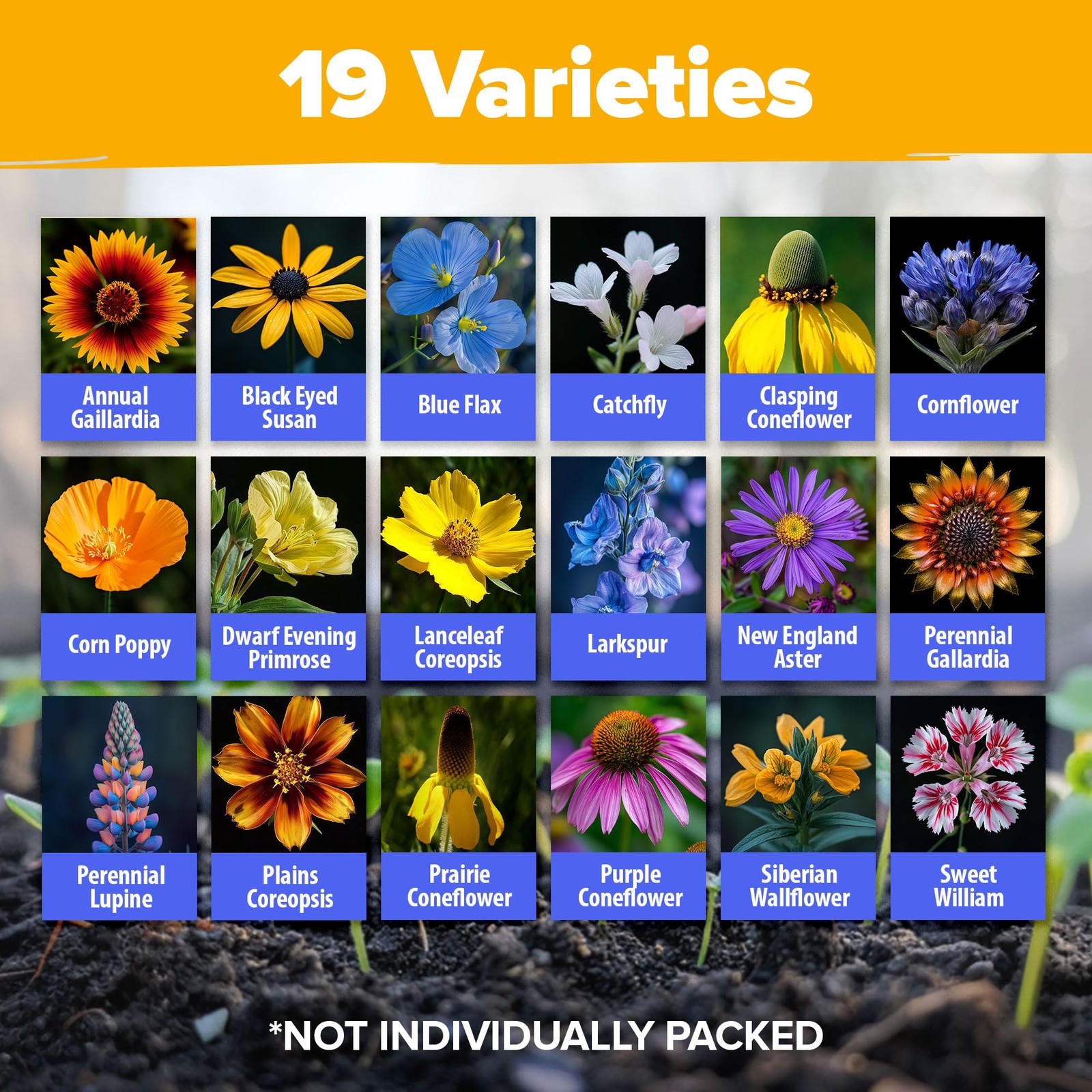 65000 Wildflower Seeds Heirloom Perennial Mix Midwest 4 oz Attracts Bees