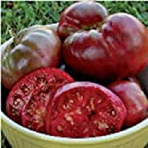 Black Krim Tomato Seeds (((25 Seed Packet))) (More Heirloom, Organic, Non GMO, V