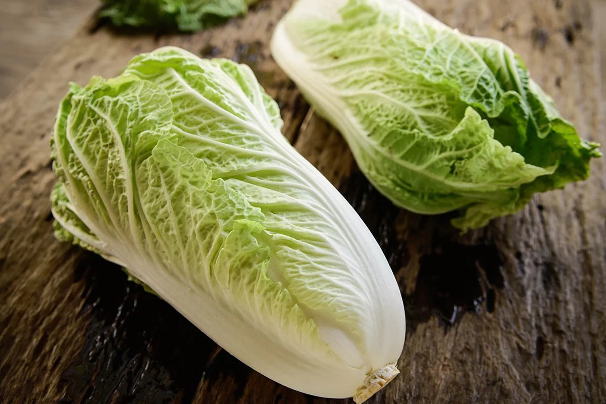 Matsushima Chinese Napa Cabbage Seeds | Asian Vegetable Green Bok Choy Seed 2024
