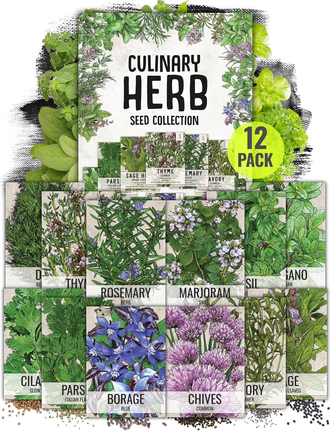 Seed Needs Herb Seeds Variety Pack Culinary Herb Collection (12 Individual Packe