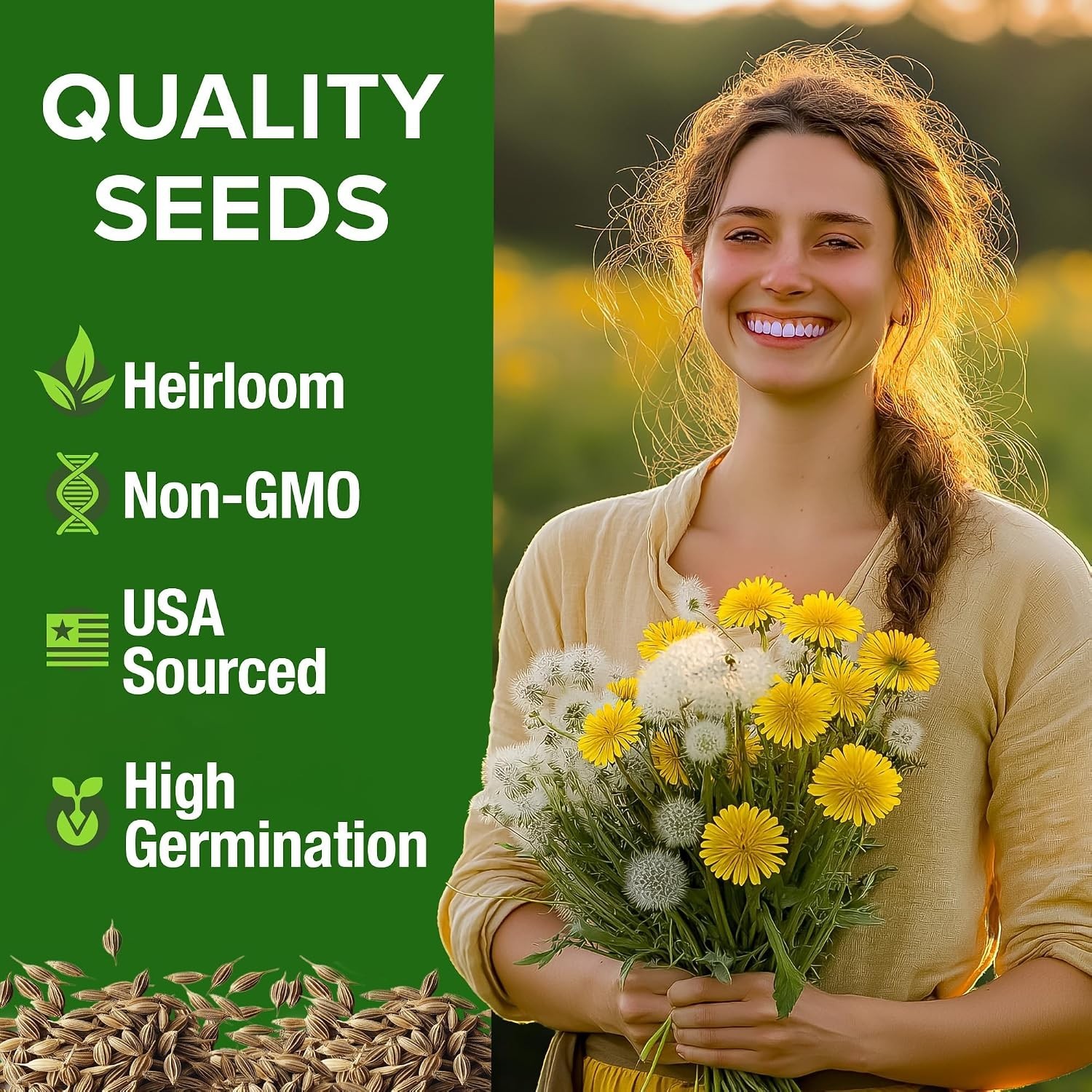 Dandelion Seeds for Planting 600 Heirloom Medicinal Herb Seeds ~0.3g Non GMO …