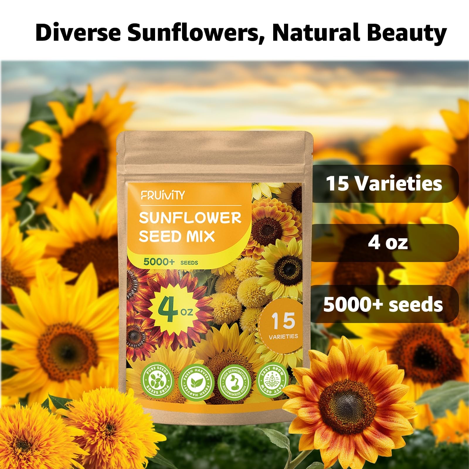 5000+ Sunflower Seeds Planting 4 Oz Heirloom NonGMO Mix 15+ Varieties Garden
