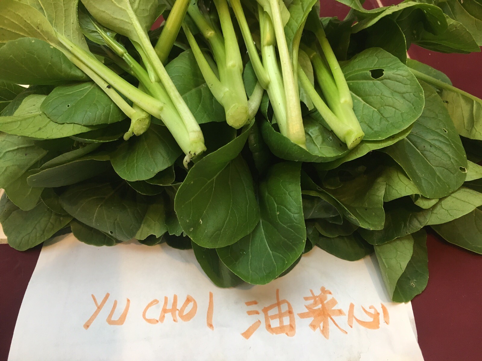 USA 1/2-oz 6000+ YU CHOI / YOU CAI XIN 青骨油菜 / 油菜心; fast harvest!