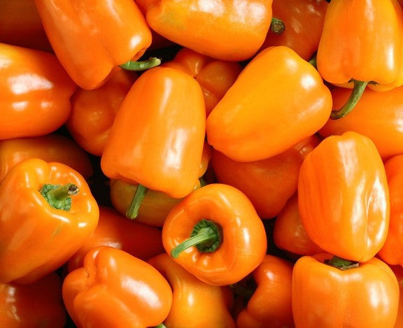 Orange King Bell Pepper Seeds 25+ Capsicum Annuum Vegetable NON-GMO USA FREE S&H