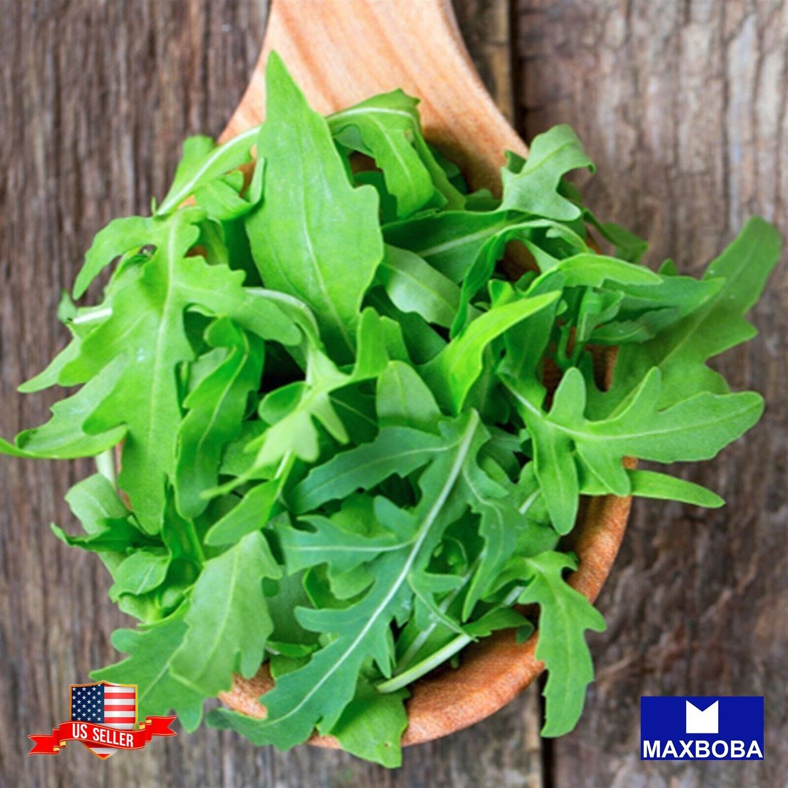 960 Arugula Fresh Seeds – Rocket (Roquette) Non-GMO Heirloom