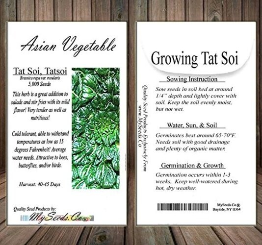 Big Pack – (5,000) Tat SOI Tatsoi Tah Tsai Spinach Seed – Chinese Vegetable –