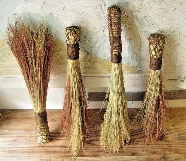 100+BROOM CORN Seeds Heirloom Sorghum Vegetable Grain Multi Color Crafts Easy