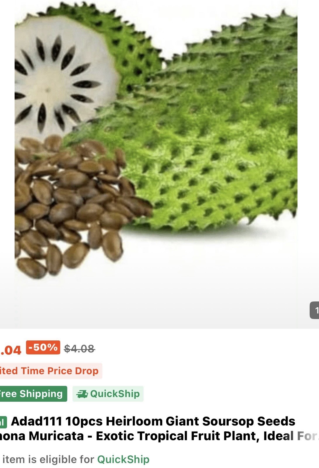 Adad111 10pcs Giant Soursop Seeds Annona Muricata Edible Tropical Fruit