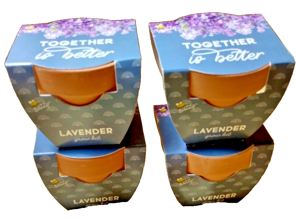 BUZZY 2″ Mini Grow Kit Terra Cotta Pot, Lavender, 4/Pack