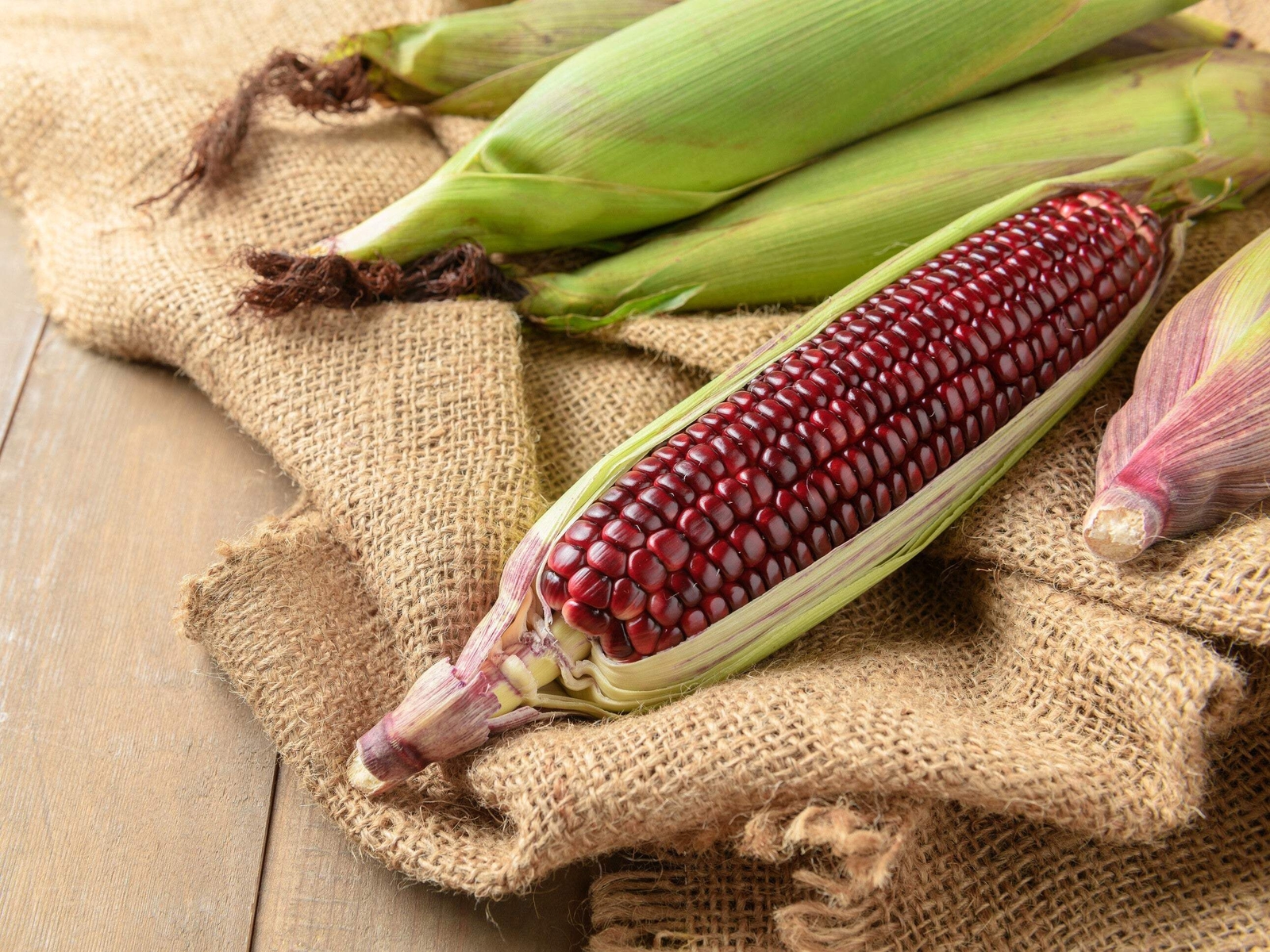 35 BLOODY BUTCHER RED CORN Edible & Ornamental Heirloom Zea Mays Vegetable Seeds