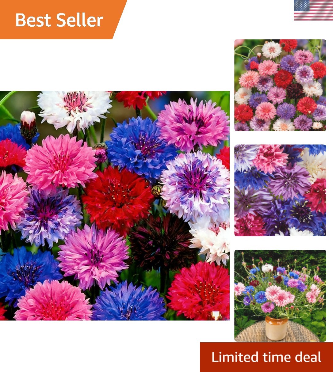 1107+ Perennial Cornflower Seeds Mix for Planting,Dwarf Colorful Cornflower S…