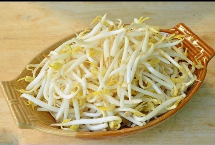 Mung Bean Seeds For Spouts- Vigna radiata – Organic 150 seeds