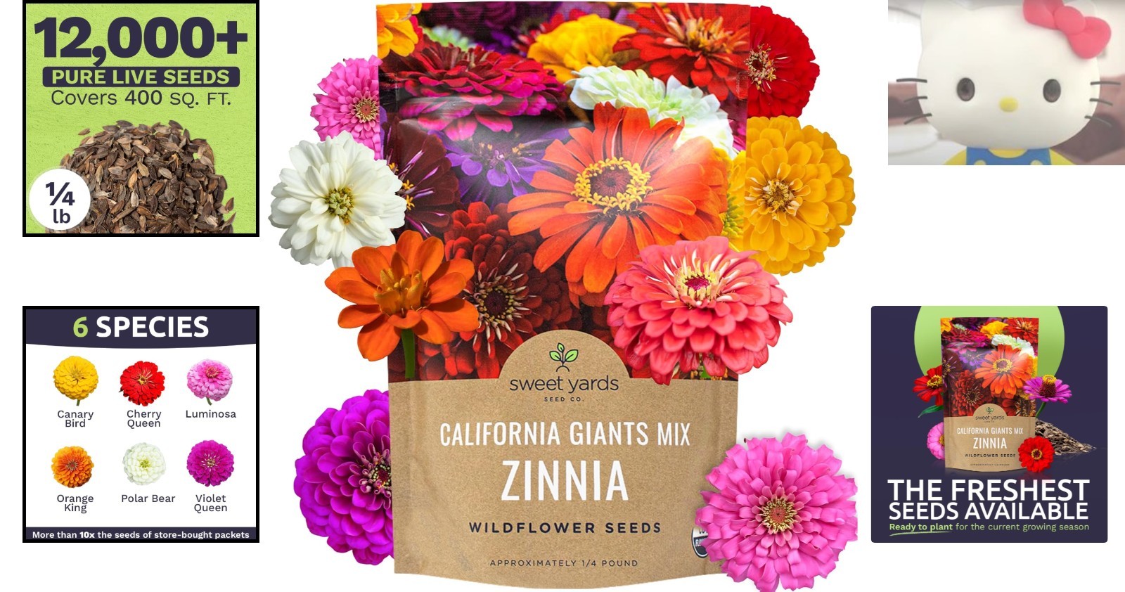 Vibrant California Giants Zinnia Seeds – 12,000 in 1/4 lb Resealable Packaging