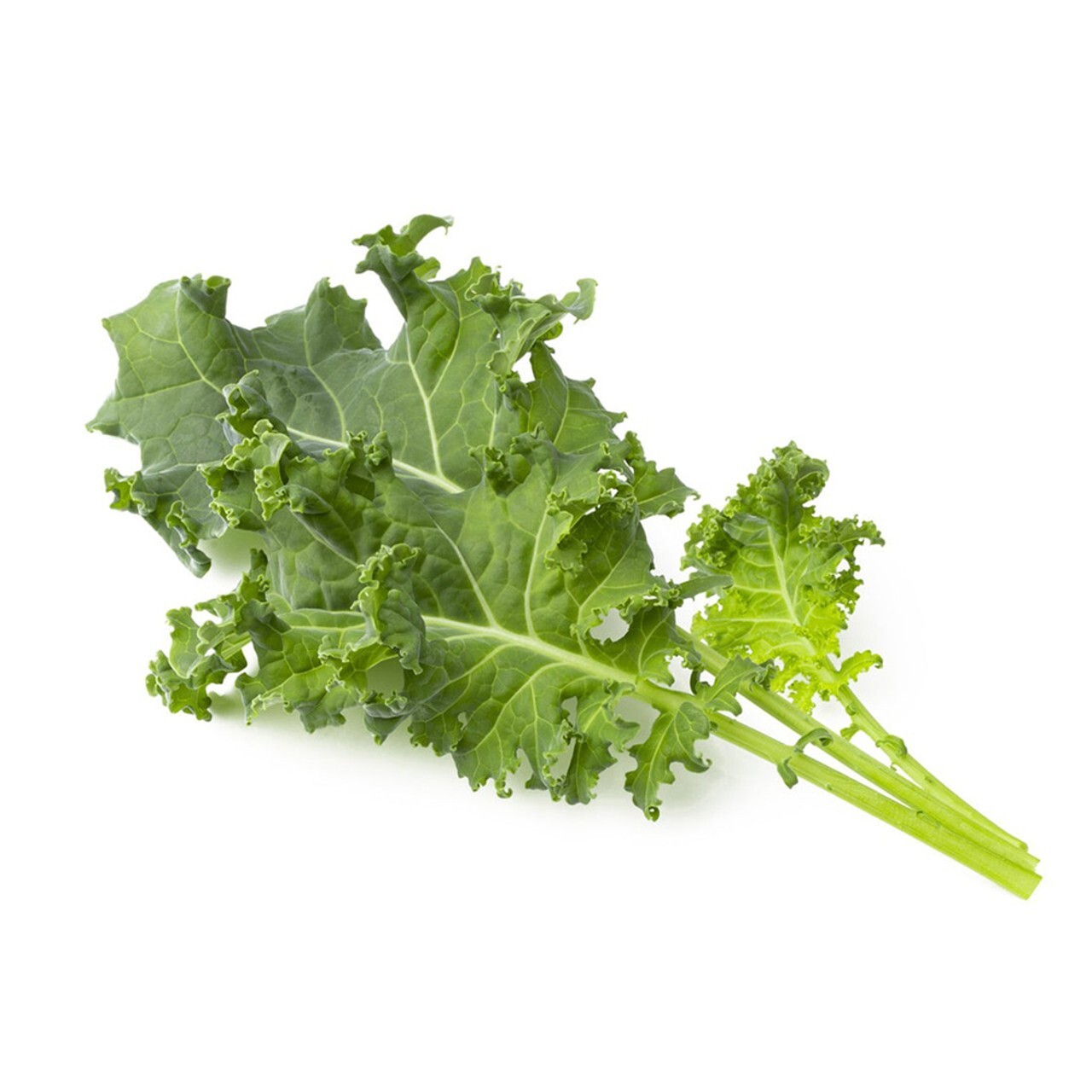 250+ seeds, Kale Seeds – Premier, heirloom, open pollinated, Non-GMO